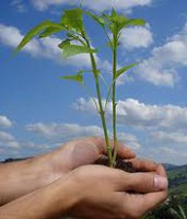 /album/fotogaleria-blog/images-jpg1/