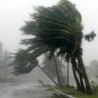 /album/factores-abioticos/viento-jpg/