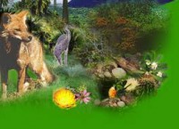 /album/factores-bioticos/consumidores-jpg/